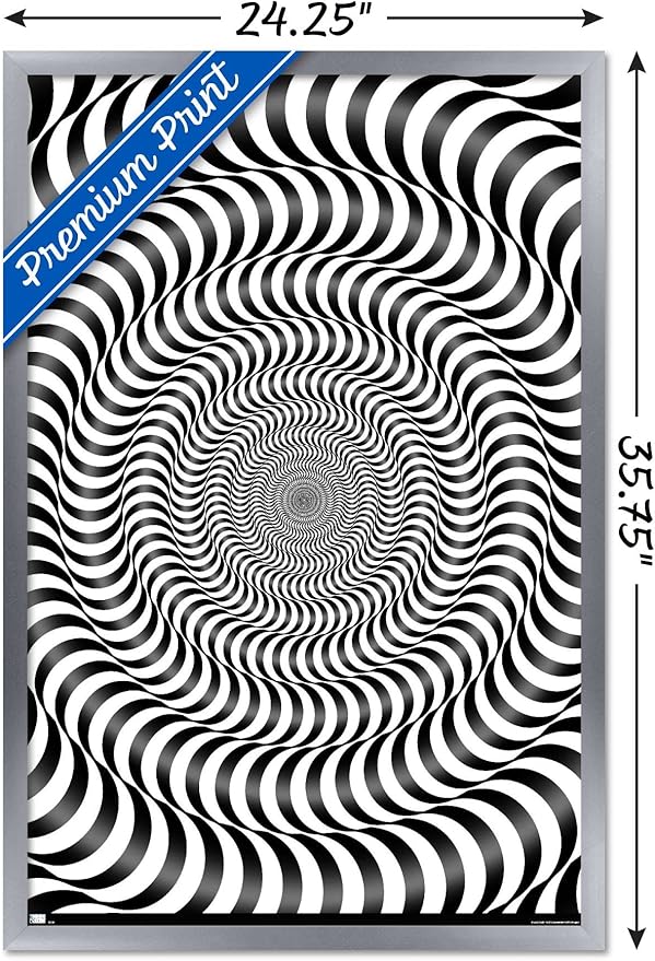 Trends International Zebra Stripe Optical Illusion Wall Poster, 22.375" x 34", Silver Framed Version