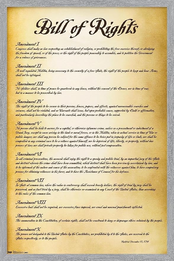 Trends International The United States of America - Bill of Rights Wall Poster, 34L x 22.4W, Gray Framed Version