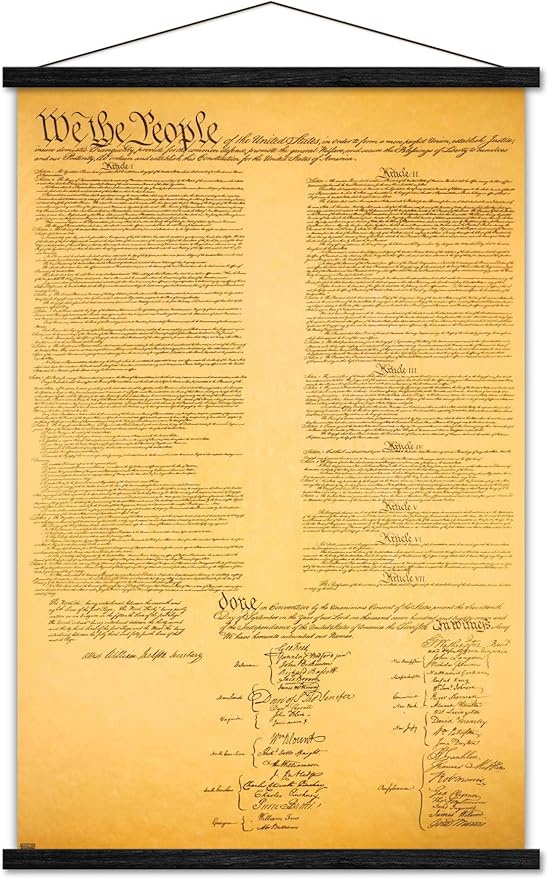 Trends International The Constitution Wall Poster, 22.375" x 34", Premium Print and Black Hanger Bundle