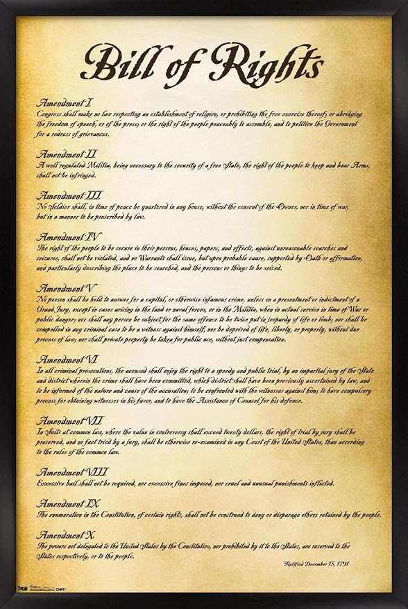 Trends International The United States of America - Bill of Rights Wall Poster, 22.375" x 34", Black Framed Version