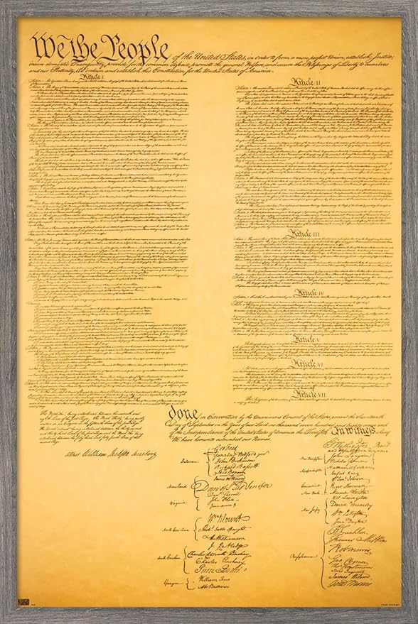 Trends International The Constitution Wall Poster, 14.725" x 22.375", Barnwood Framed Version