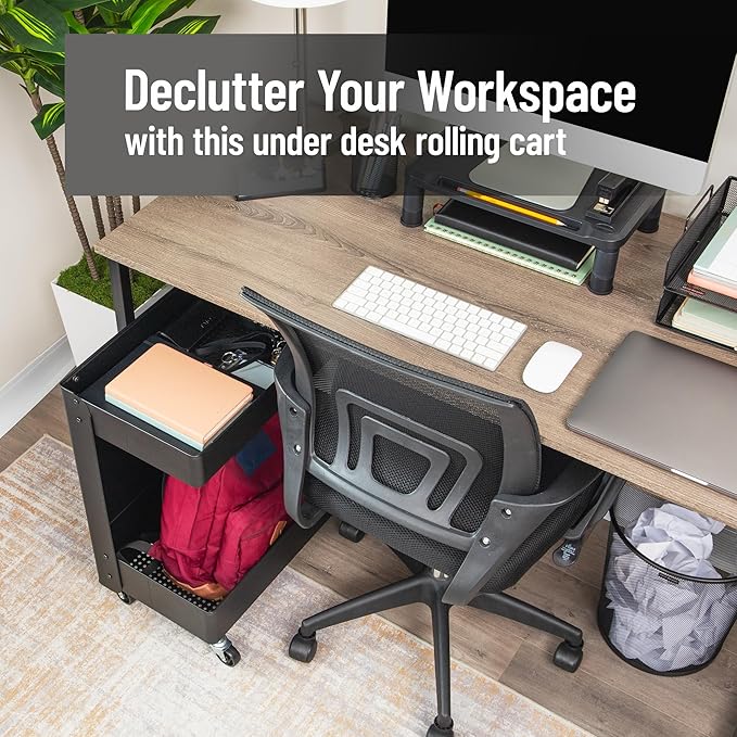 Mind Reader Under Desk Rolling Cart, 2-Tier Steel Utility Organizer, No Assembly Required, 12" L x 20" W x 23.5" H, Black