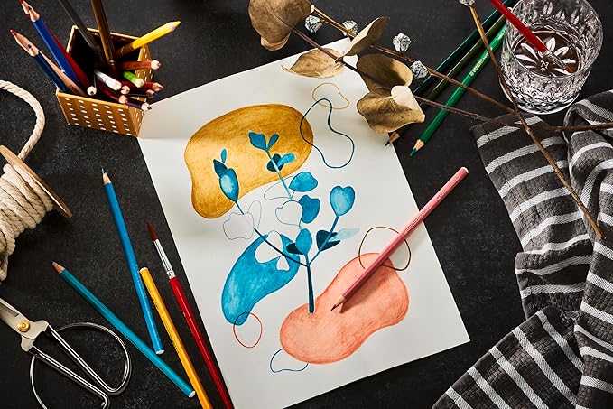 STABILO Aquarellable Coloring Pencil - STABILOaquacolor - Tin of 12 - Assorted Colors