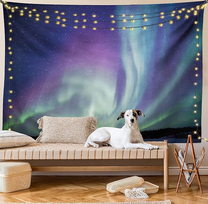 Ambesonne Aurora Borealis Tapestry, Exquisite Atmosphere Solar Starry Sky Calming Night Image, Fabric Wall Hanging Decor for Bedroom Living Room Dorm, 45" X 30", Dark Blue Mint Green