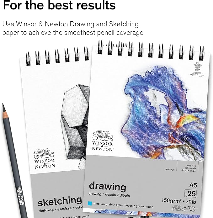 Winsor & Newton Studio Collection Artist Pencils, Color Pencils, Set of 12