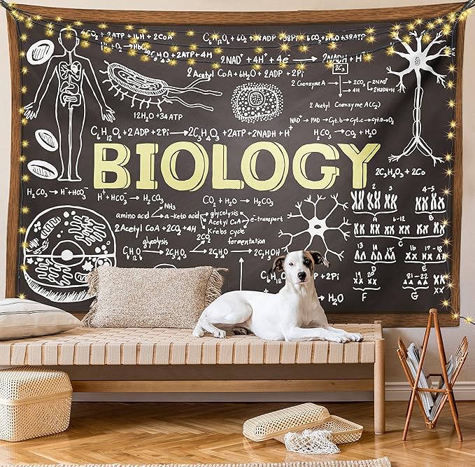Ambesonne Science Tapestry, Black Chalkboard Biology Hand Written, Wide Wall Hanging for Bedroom Living Room Dorm, 80" X 60", Black Brown Pale Yellow