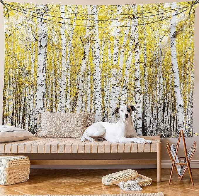 Ambesonne Forest Tapestry King Size, Autumn Birch Forest Golden Yellow Leaves Woodland October Seasonal Nature Picture, Wall Hanging Bedspread Bed Cover Wall Decor, 104" X 88", Yellow Grey