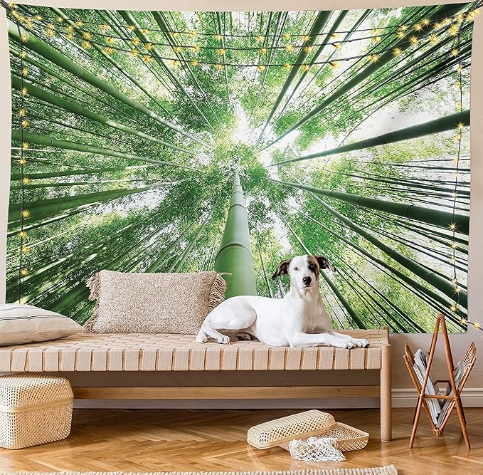Ambesonne Forest Tapestry King Size, Tropical Rain Forest Tall Trees in Exotic Style Nature Theme Image Sky from Woodland, Wall Hanging Bedspread Bed Cover Wall Decor, 88" X 88", Green